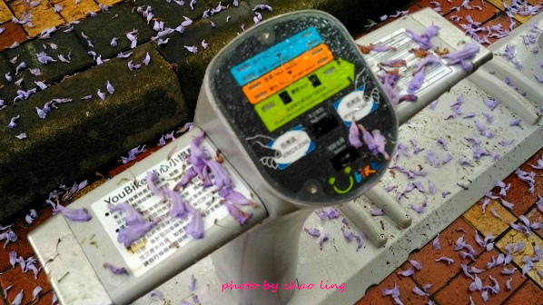 朝陽公園-7.jpg - 2016夏之豔陽