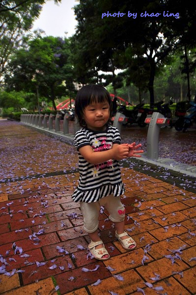 朝陽公園-13.JPG - 2016夏之豔陽