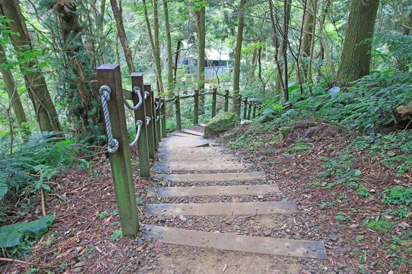 【桃園旅遊】東眼山森林遊樂區-夏日消暑山林避世小旅遊