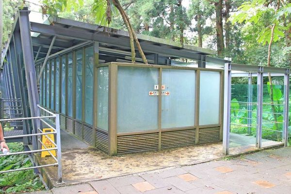 【桃園旅遊】東眼山森林遊樂區-夏日消暑山林避世小旅遊