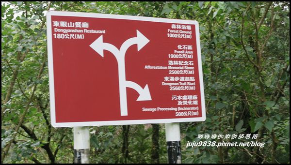 東眼山8.JPG