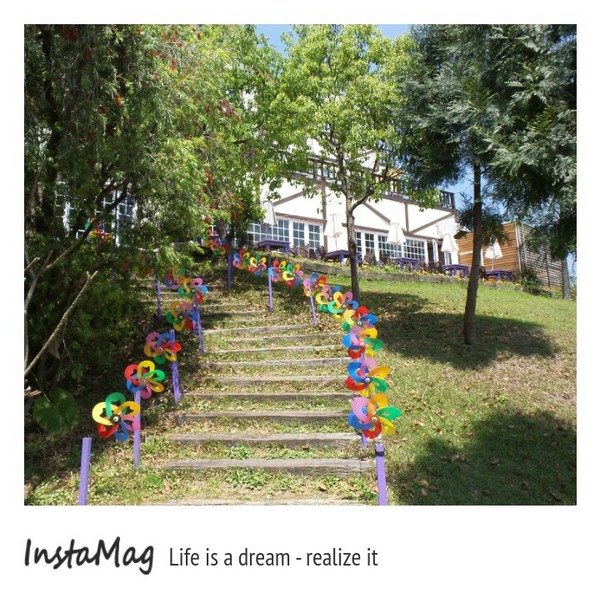 綠光森林：鵝黃色的歐式建築~綠光森林