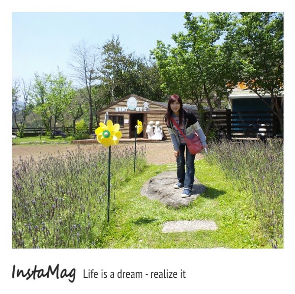 綠光森林：鵝黃色的歐式建築~綠光森林