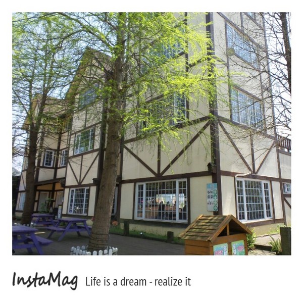 綠光森林：鵝黃色的歐式建築~綠光森林