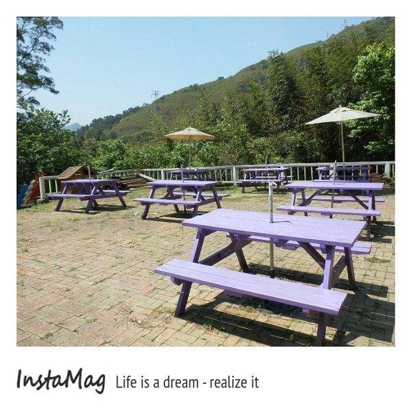 綠光森林：鵝黃色的歐式建築~綠光森林