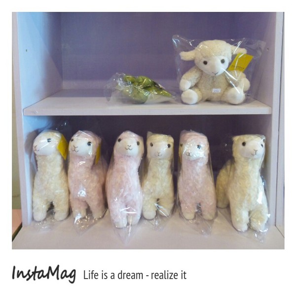 綠光森林：鵝黃色的歐式建築~綠光森林