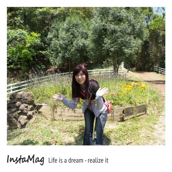 綠光森林：鵝黃色的歐式建築~綠光森林