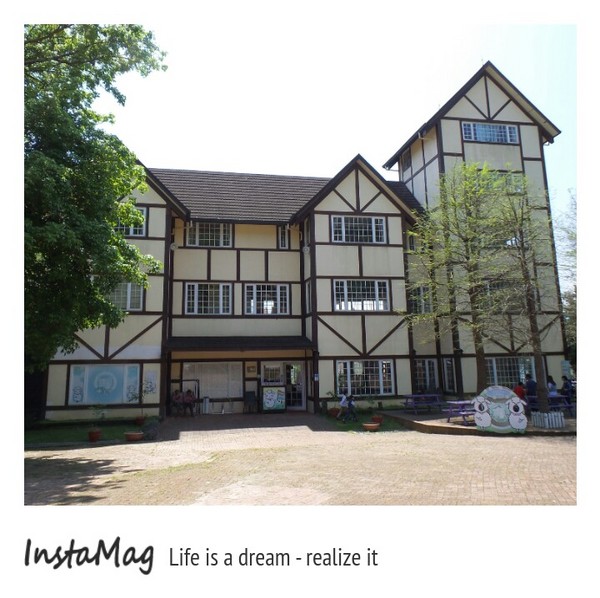 綠光森林：鵝黃色的歐式建築~綠光森林