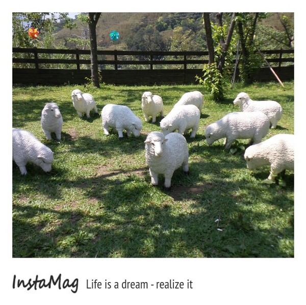 綠光森林：鵝黃色的歐式建築~綠光森林