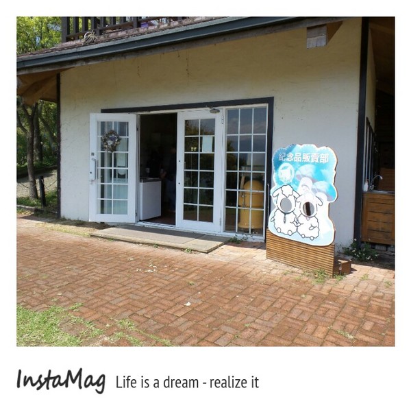 綠光森林：鵝黃色的歐式建築~綠光森林