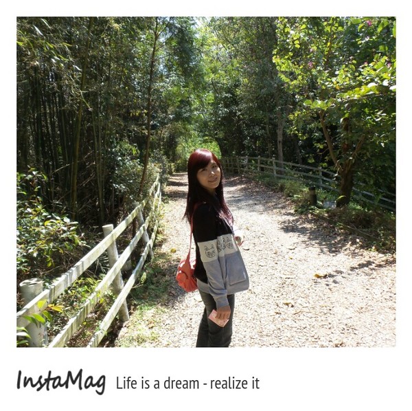 綠光森林：鵝黃色的歐式建築~綠光森林