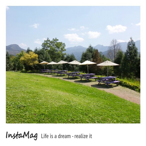 綠光森林：鵝黃色的歐式建築~綠光森林