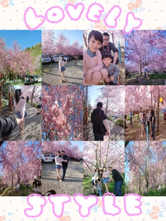 拉拉山恩愛農場:【遊記】oO。桃園 復興鄉 拉拉山 恩愛農場 去不成武陵農場沒關係,恩愛農場也有粉紅世界,超美~。o○。