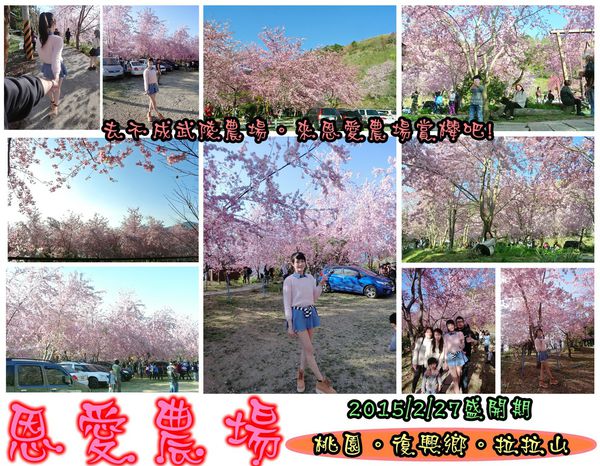 拉拉山恩愛農場:【遊記】oO。桃園 復興鄉 拉拉山 恩愛農場 去不成武陵農場沒關係,恩愛農場也有粉紅世界,超美~。o○。