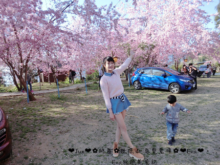 拉拉山恩愛農場:【遊記】oO。桃園 復興鄉 拉拉山 恩愛農場 去不成武陵農場沒關係,恩愛農場也有粉紅世界,超美~。o○。