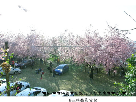 拉拉山恩愛農場:【遊記】oO。桃園 復興鄉 拉拉山 恩愛農場 去不成武陵農場沒關係,恩愛農場也有粉紅世界,超美~。o○。