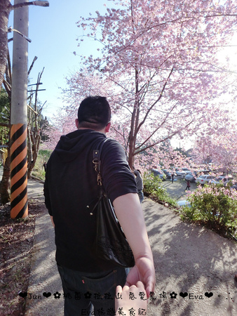 拉拉山恩愛農場:【遊記】oO。桃園 復興鄉 拉拉山 恩愛農場 去不成武陵農場沒關係,恩愛農場也有粉紅世界,超美~。o○。