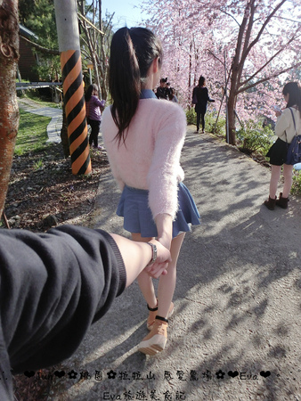 拉拉山恩愛農場:【遊記】oO。桃園 復興鄉 拉拉山 恩愛農場 去不成武陵農場沒關係,恩愛農場也有粉紅世界,超美~。o○。