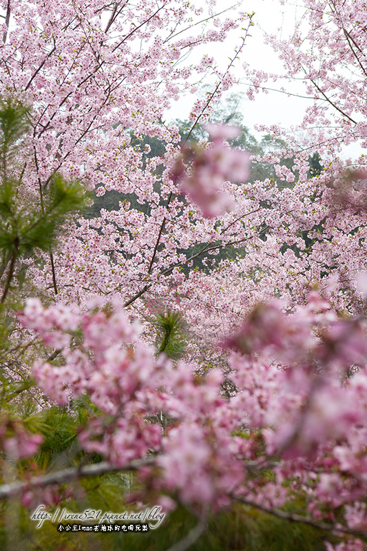 14.03.01-恩愛農場