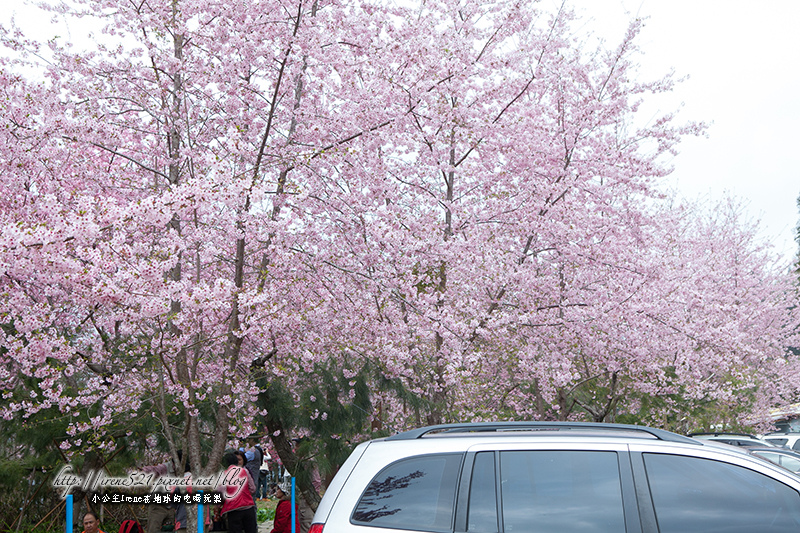 14.03.01-恩愛農場