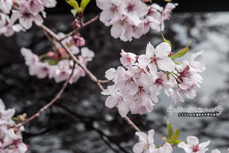 14.03.01-恩愛農場