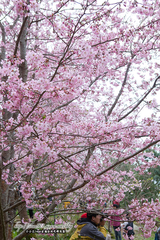 14.03.01-恩愛農場