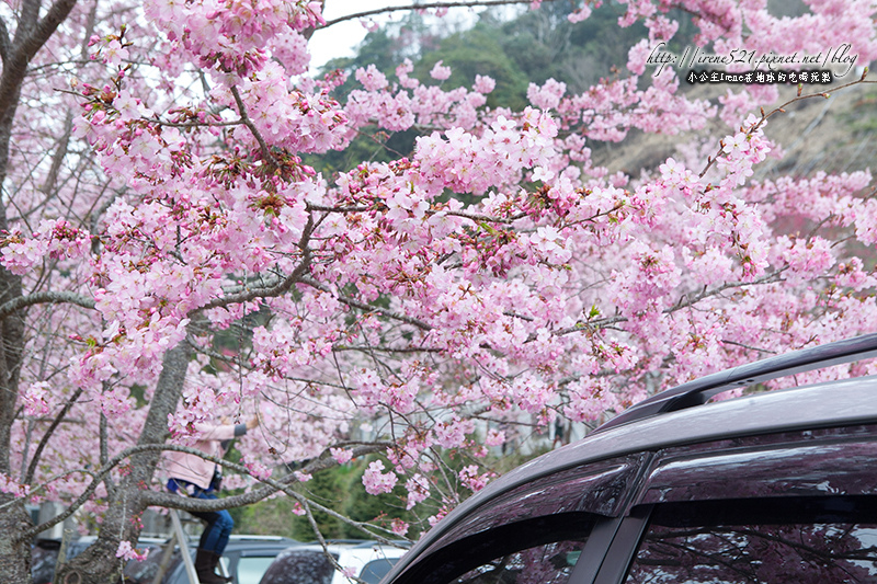 14.03.01-恩愛農場