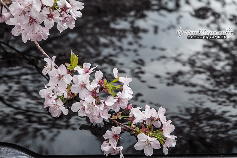 14.03.01-恩愛農場