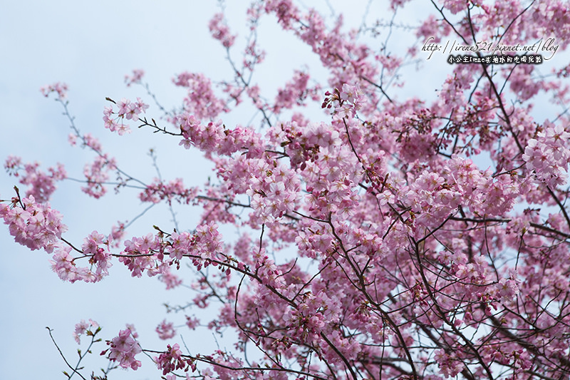 14.03.01-恩愛農場