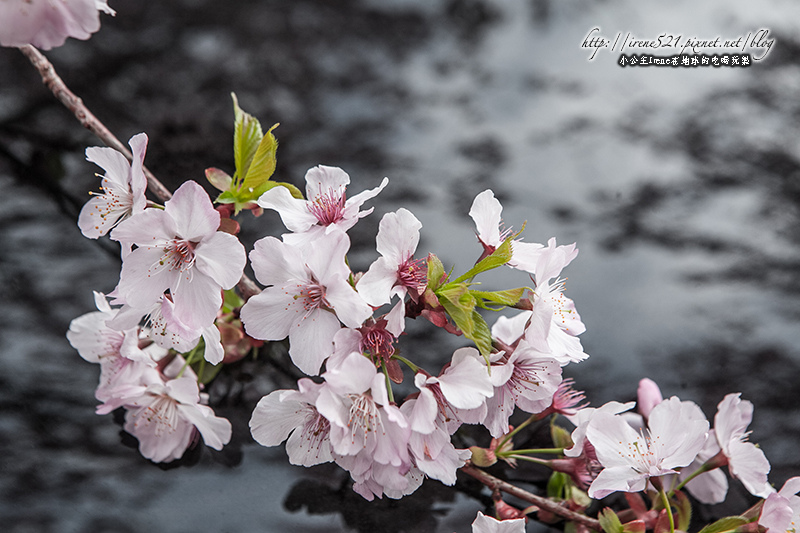 14.03.01-恩愛農場