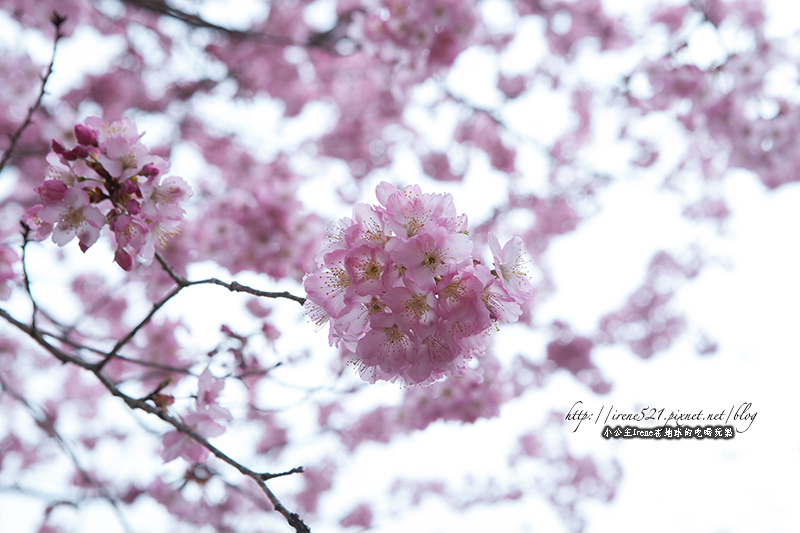 14.03.01-恩愛農場