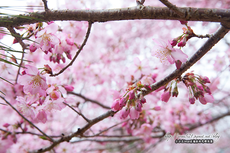 14.03.01-恩愛農場