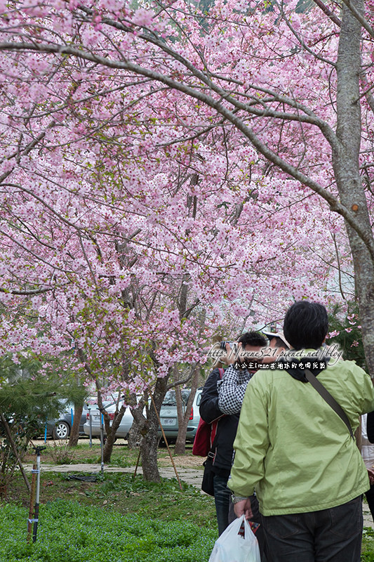 14.03.01-恩愛農場