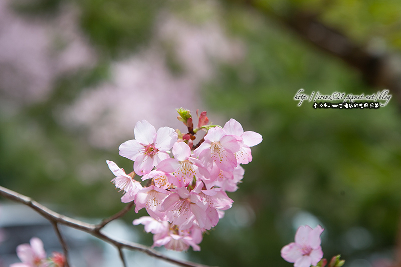 14.03.01-恩愛農場