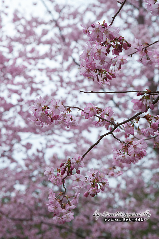 14.03.01-恩愛農場
