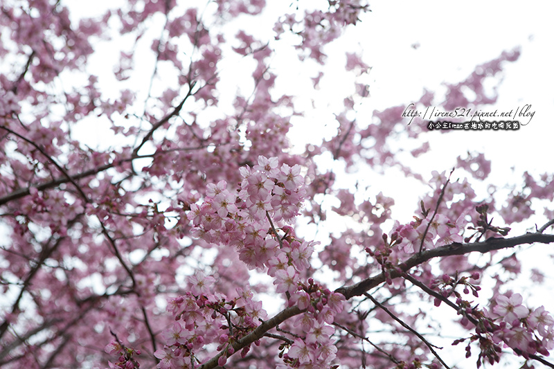 14.03.01-恩愛農場