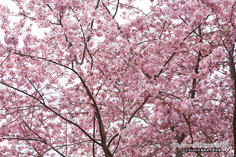 14.03.01-恩愛農場