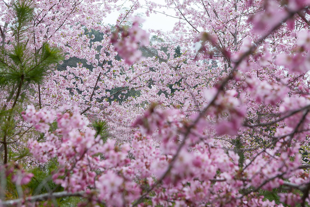 14.03.01-恩愛農場