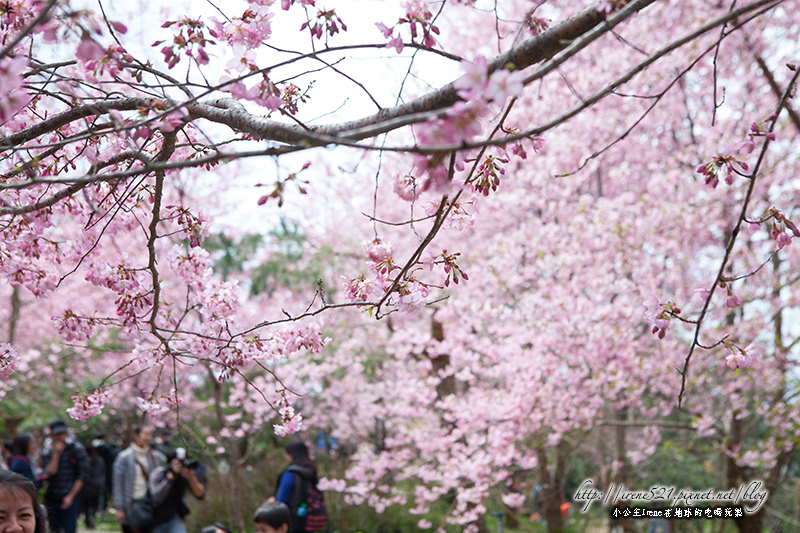 14.03.01-恩愛農場
