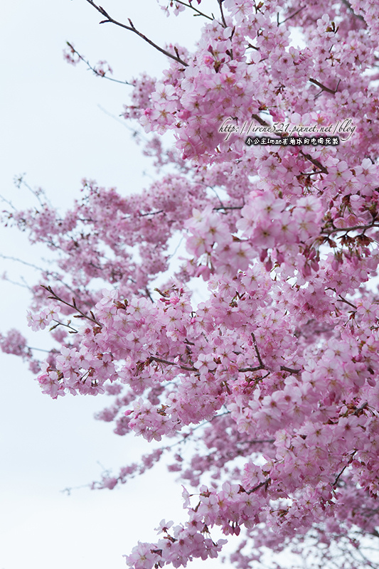 14.03.01-恩愛農場