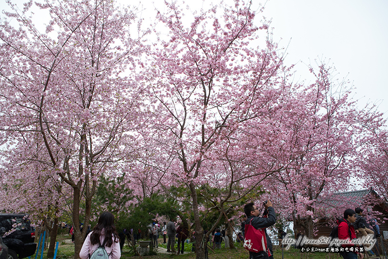 14.03.01-恩愛農場