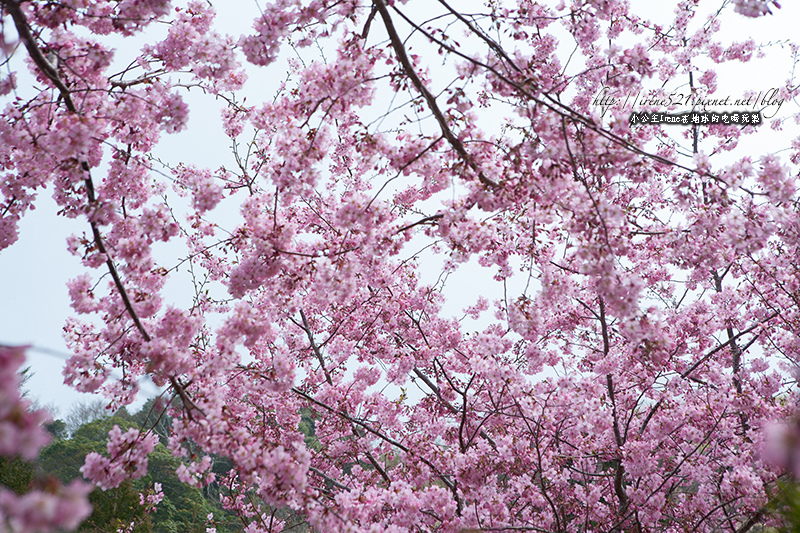 14.03.01-恩愛農場