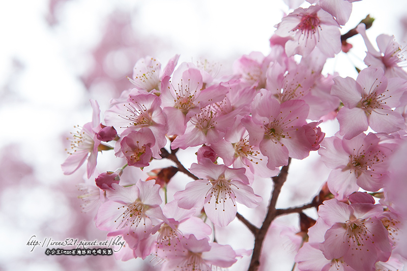 14.03.01-恩愛農場