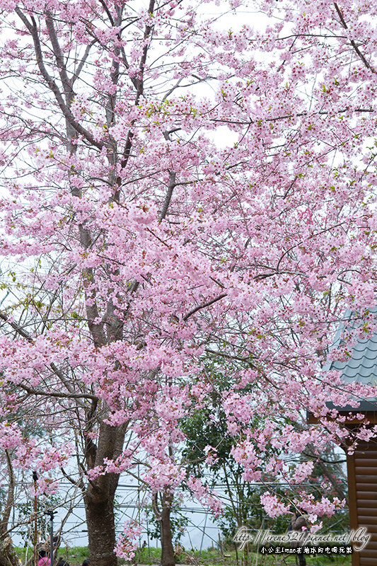 14.03.01-恩愛農場