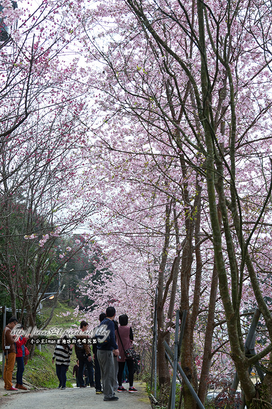 14.03.01-恩愛農場