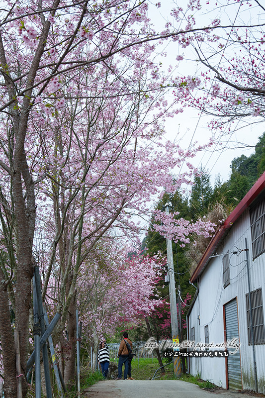 14.03.01-恩愛農場