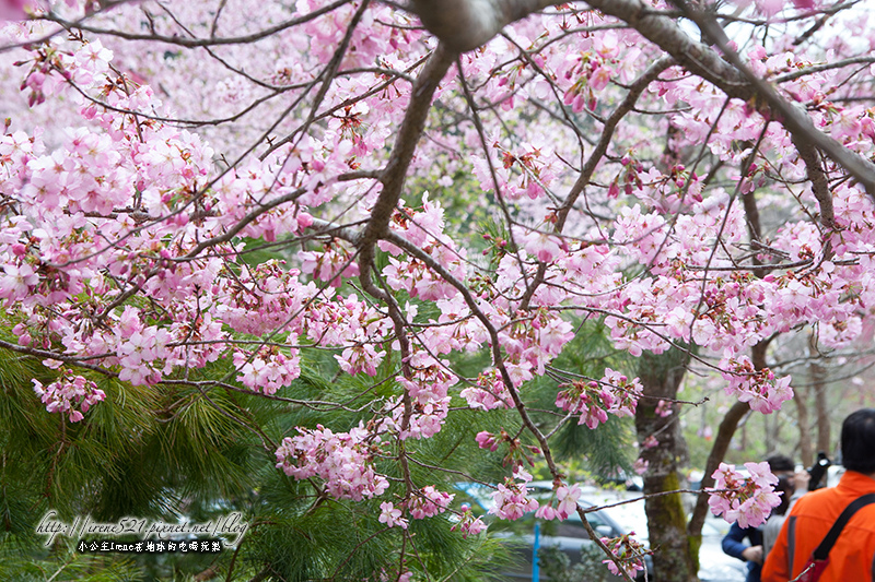 14.03.01-恩愛農場