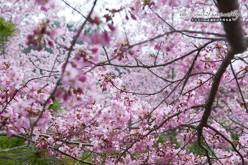 14.03.01-恩愛農場