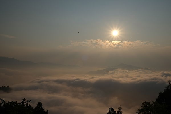 2013.03.24_[桃園復興]恩愛農場_咬一口就上癮的蜜蘋果-52