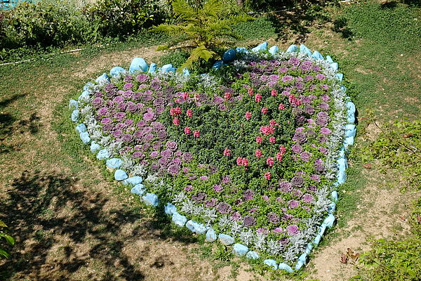 2013.03.24_[桃園復興]恩愛農場_咬一口就上癮的蜜蘋果-1